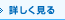 �ѡ����ʥ�ȥ졼�˥�