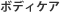�ܥǥ�����