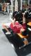 �錄����90ʬ�ե��åȥͥ������Ĥ�������ԡ�������1