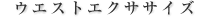 ウエストエクササイズ