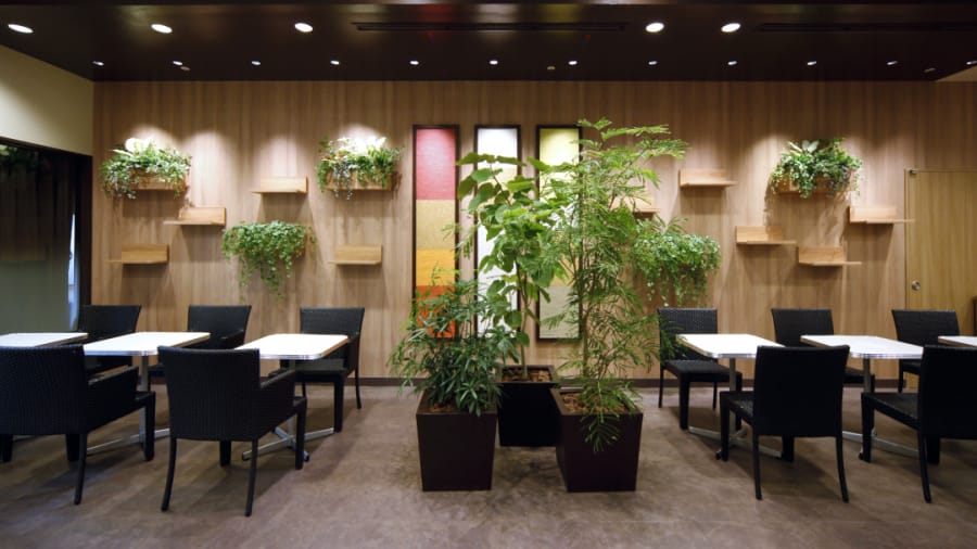 オアシス新宿24Plus