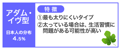 アダム・イブ型