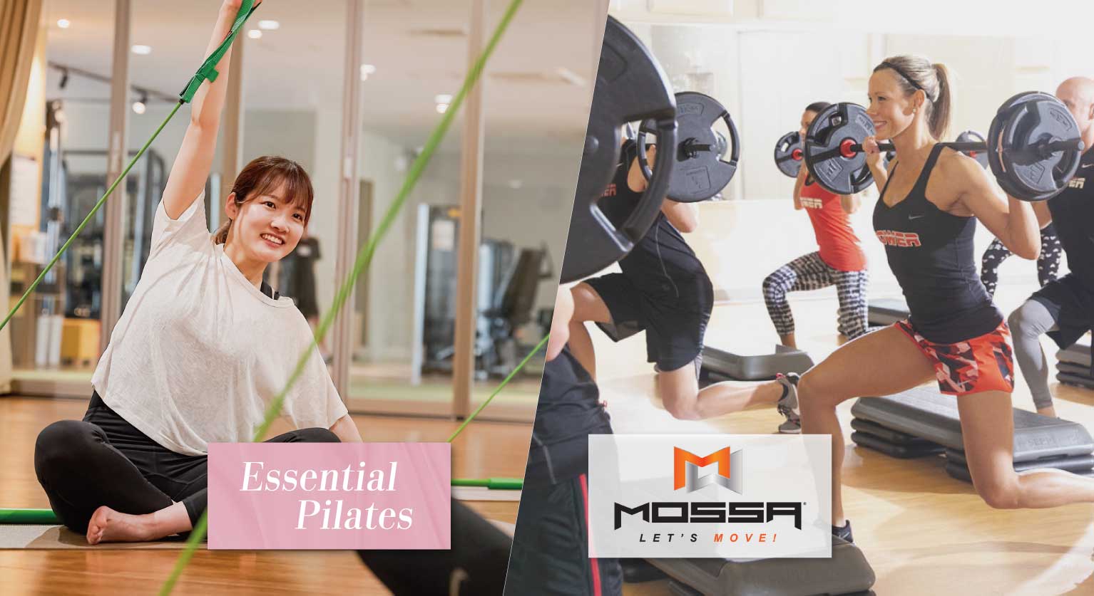 2026年4月　2つの新プログラムスタート