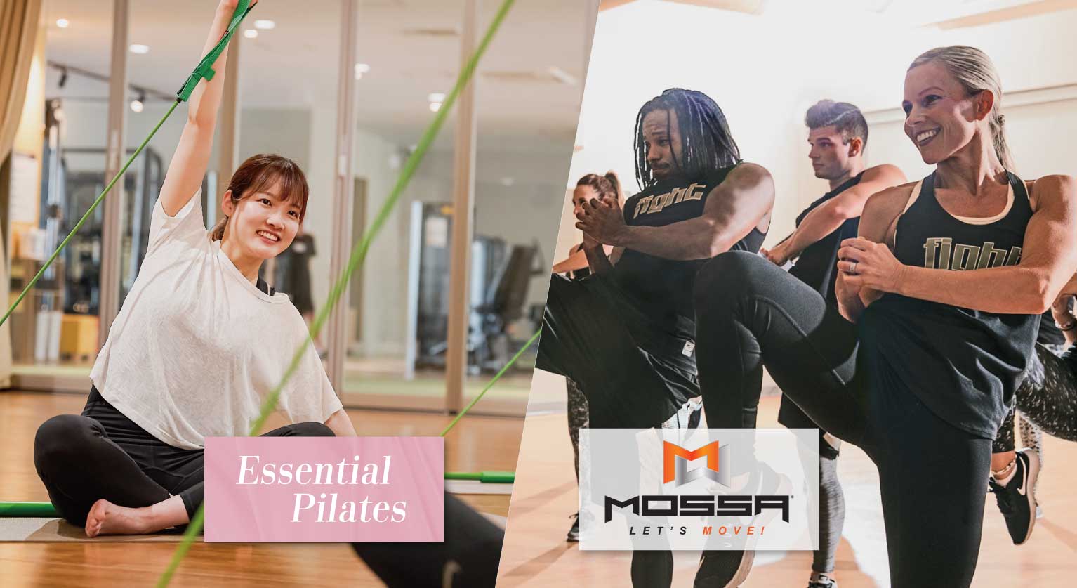 2026年4月　2つの新プログラムスタート