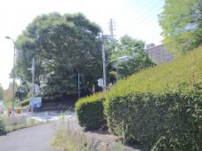 子供教室 オアシスキッズ南大沢店のコーチ スタッフ日誌に関するブログ 東京都八王子市