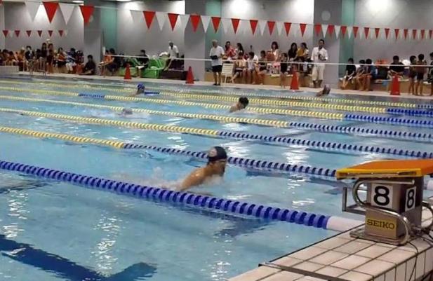 第66回区民体育大会 水泳競技会