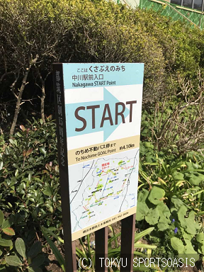 春run漫 ランニング ジョギングオアシス港北店ブログ 公式 東急スポーツオアシス港北 スポーツジム