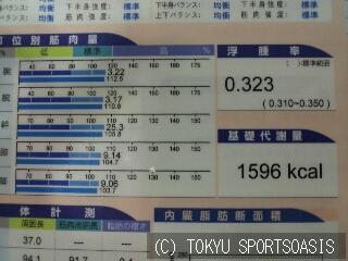 運動と消費カロリー フィットネス エクササイズオアシス本駒込店ブログ 公式 東急スポーツオアシス本駒込