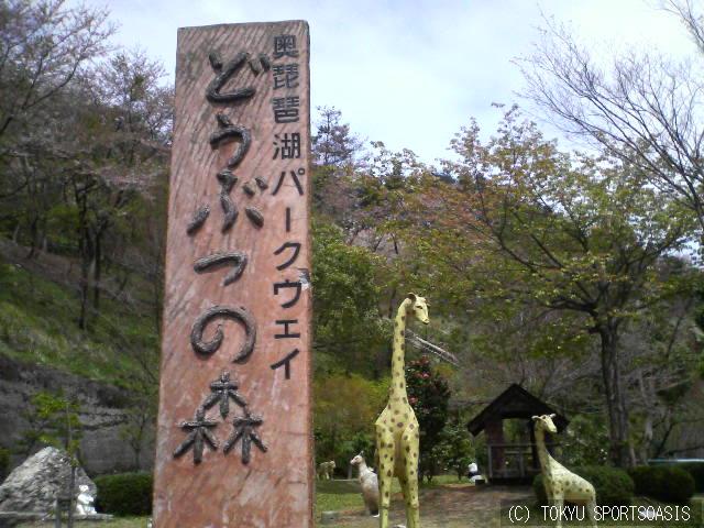 ライダーなワタシ 年齢を実感の巻 マネージャーのヒトリゴトオアシス江坂店ブログ 公式 東急スポーツオアシス江坂24plus 24hスポーツジム