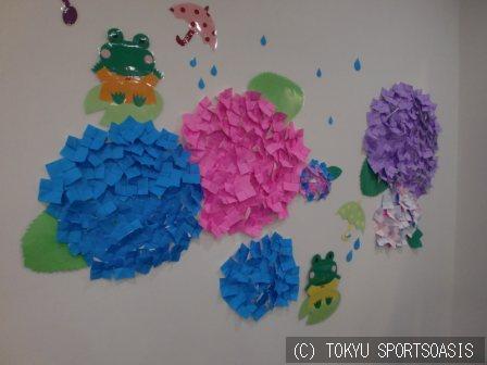 オアシスキッズ港北店の12年06月15日の記事 コーチ スタッフ日誌 梅雨といえば紫陽花 神奈川県横浜市都筑区