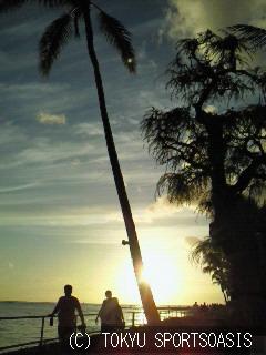 弾丸トラベラー 店舗日誌オアシス本駒込店ブログ 公式 東急スポーツオアシス本駒込