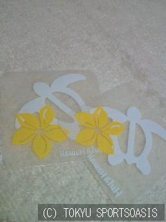 弾丸トラベラー 店舗日誌オアシス本駒込店ブログ 公式 東急スポーツオアシス本駒込