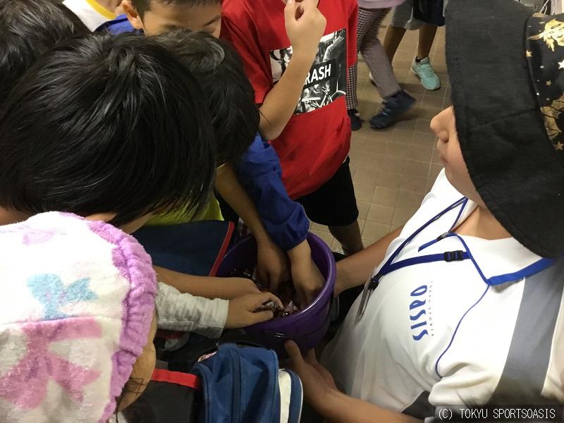 オアシスキッズ川口店の19年10月31日の記事 コーチ スタッフ日誌 キャンディーくばったよ 埼玉県川口市本町