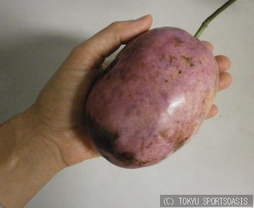 オアシスキッズ川口店の15年11月日の記事 コーチ スタッフ日誌 縁起のいいフルーツ 埼玉県川口市本町