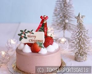 低カロリーのクリスマスケーキ フィットネス エクササイズオアシス港北店ブログ 公式 東急スポーツオアシス港北 スポーツジム